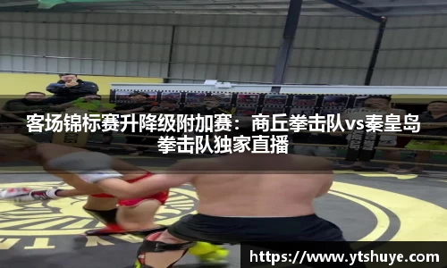 客场锦标赛升降级附加赛：商丘拳击队vs秦皇岛拳击队独家直播
